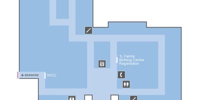 地図セントジョセフ-健康センタートロントOLMレベル1