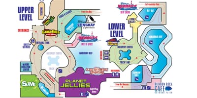 地図のプールサイドバー、バー/ラウン水族館