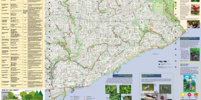 地図の公園や歩道東のトロント
