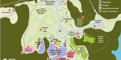 地図RBGアーボリータムアットグレート