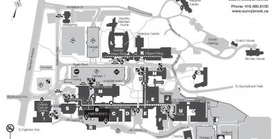 地図Sunnybrook健康科学センター-SHSC